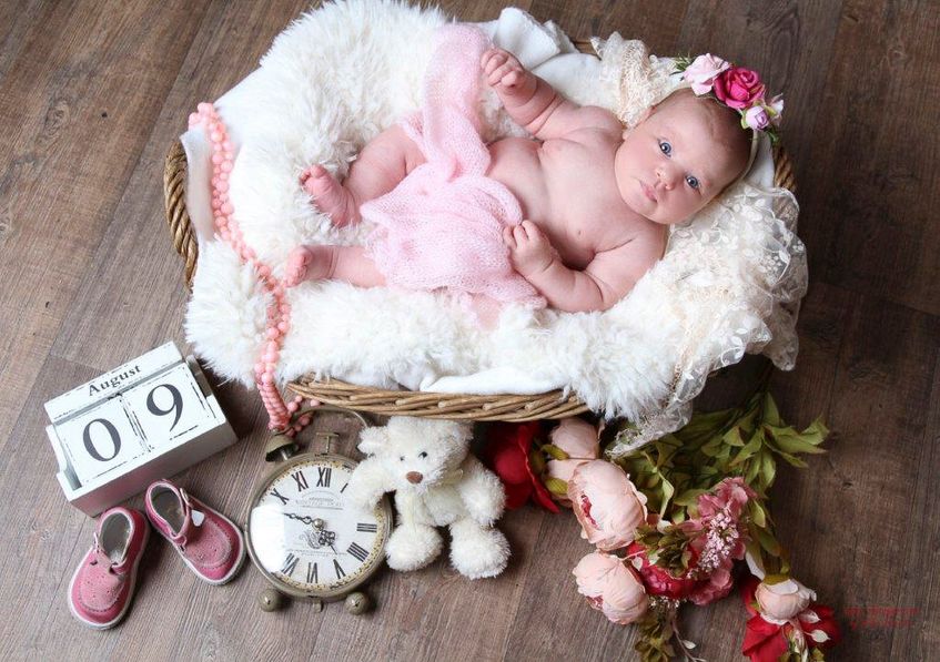 Galerie mit Fotos von Baby und Kids vom Fotostudio und Fotolabor Foto Schröter in Riesa