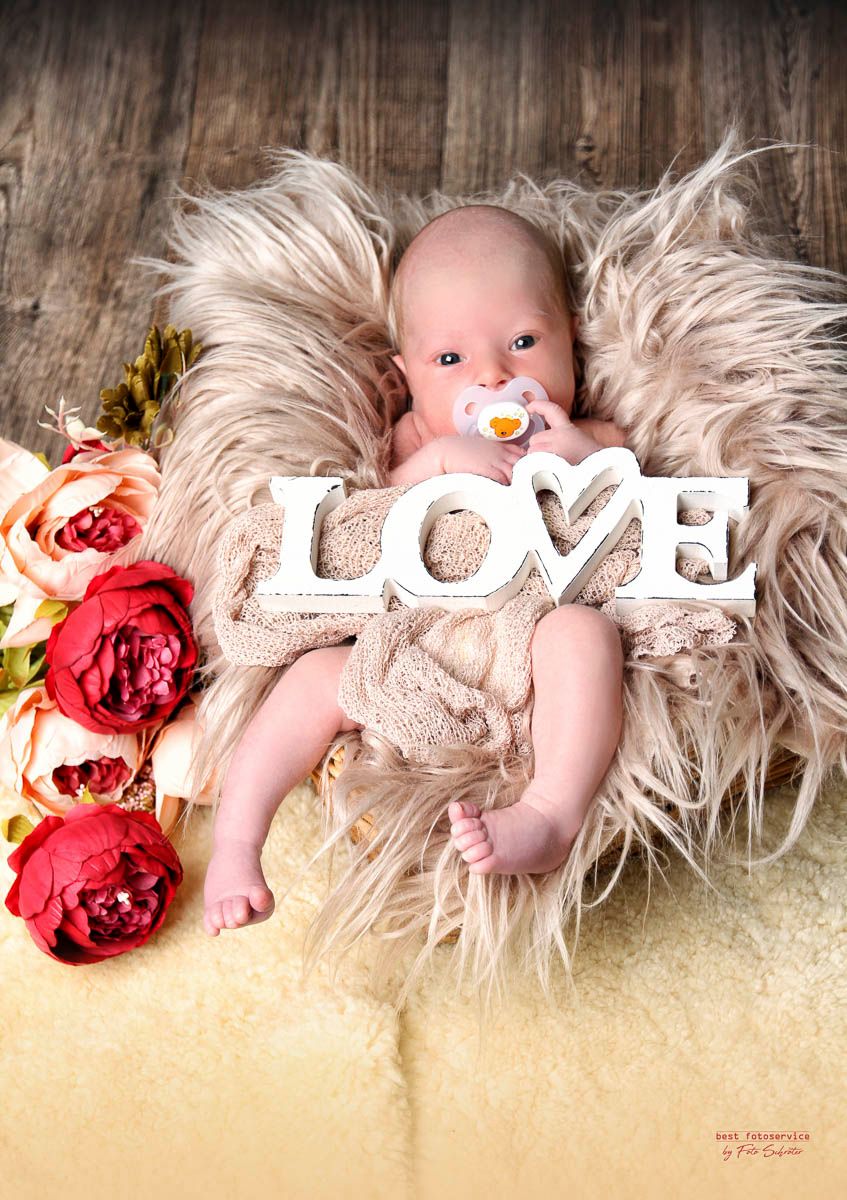 Galerie mit Fotos von Baby und Kids vom Fotostudio und Fotolabor Foto Schröter in Riesa