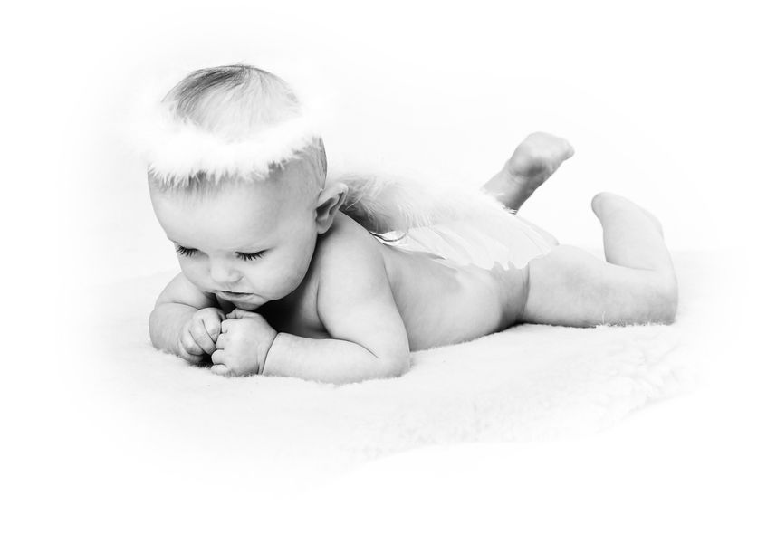 Galerie mit Fotos von Baby und Kids vom Fotostudio und Fotolabor Foto Schröter in Riesa