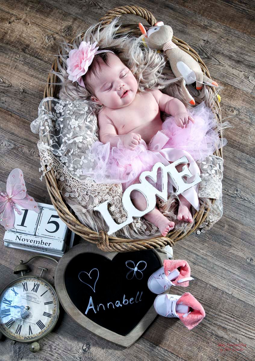 Galerie mit Fotos von Baby und Kids vom Fotostudio und Fotolabor Foto Schröter in Riesa