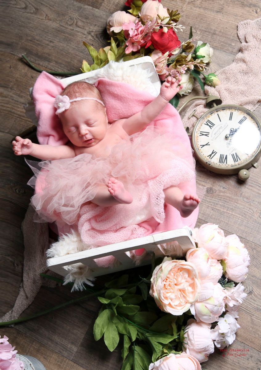 Galerie mit Fotos von Baby und Kids vom Fotostudio und Fotolabor Foto Schröter in Riesa