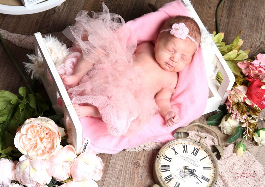 Galerie mit Fotos von Baby und Kids vom Fotostudio und Fotolabor Foto Schröter in Riesa