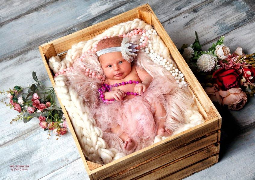Galerie mit Fotos von Baby und Kids vom Fotostudio und Fotolabor Foto Schröter in Riesa