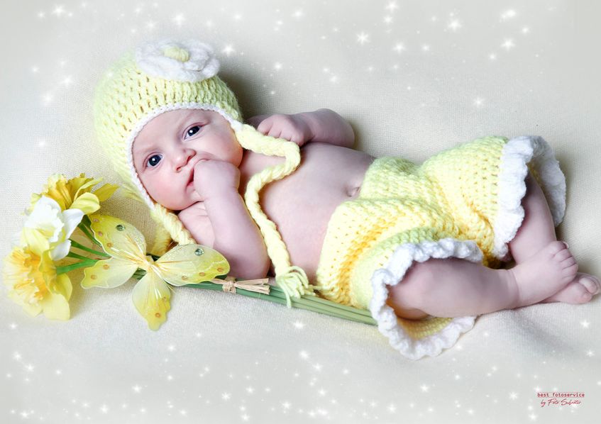 Galerie mit Fotos von Baby und Kids vom Fotostudio und Fotolabor Foto Schröter in Riesa