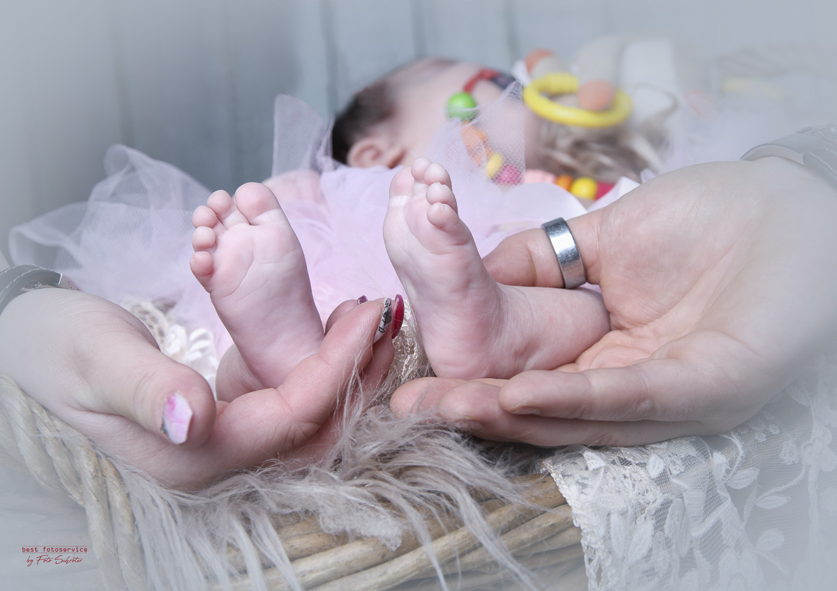 Galerie von Fotostudio und Fotolabor Foto Schröter in Riesa